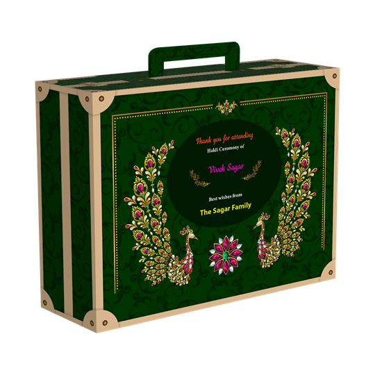 WD - Haldi - Suitcase - 08_1_-Frm_137023.png